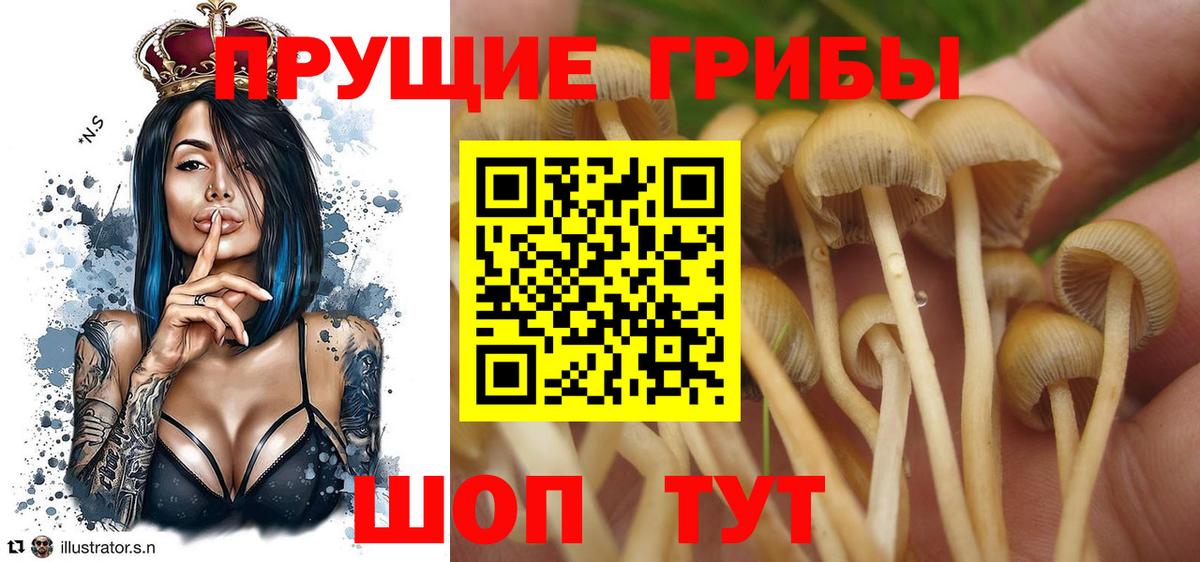 Псилоцибиновые грибы мухоморы Нефтекумск