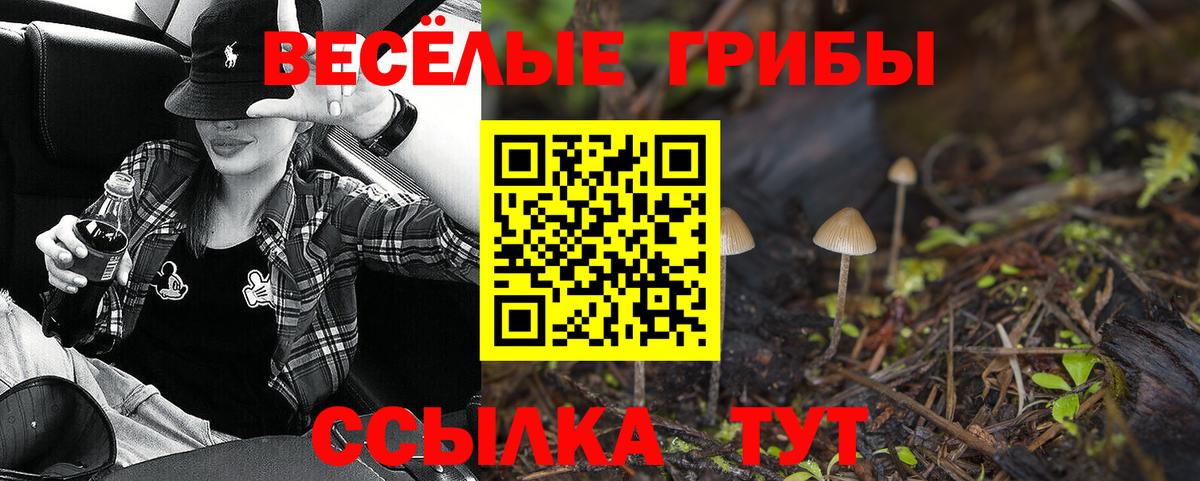 магазин  наркотиков  Вход с VPN  Нефтекумск  Псилоцибиновые грибы Magic Shrooms 